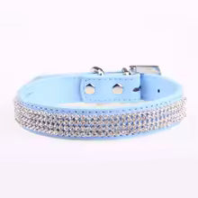 Collier chien cuir | Prestance Dog™