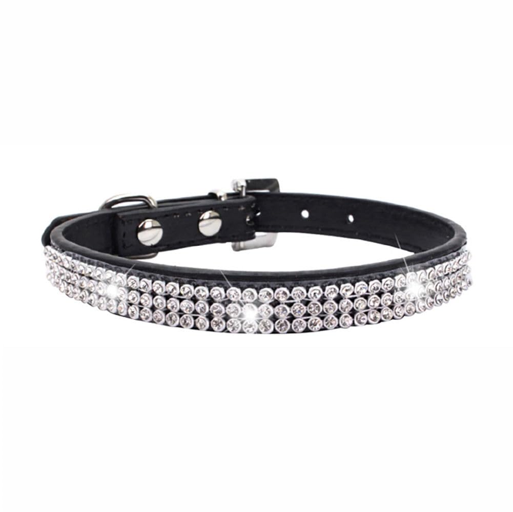 Collier chien cuir | Prestance™ - Mon Précieux Fidèle