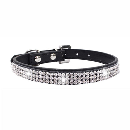 Collier chien cuir | Prestance™ - Mon Précieux Fidèle
