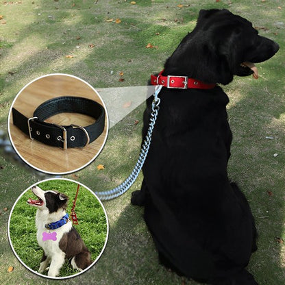 gros chien noir assis sur pelouse portant collier pour chien nylon rouge