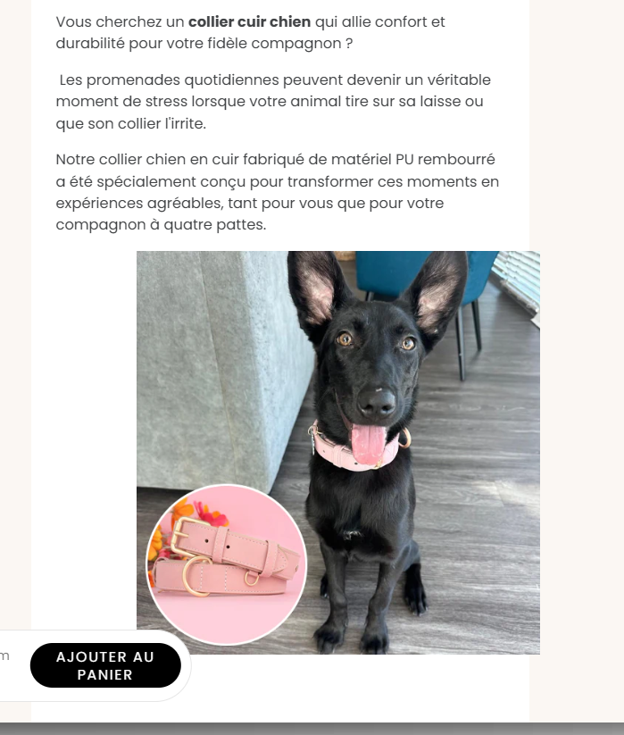 Collier cuir chien | HappyDog™